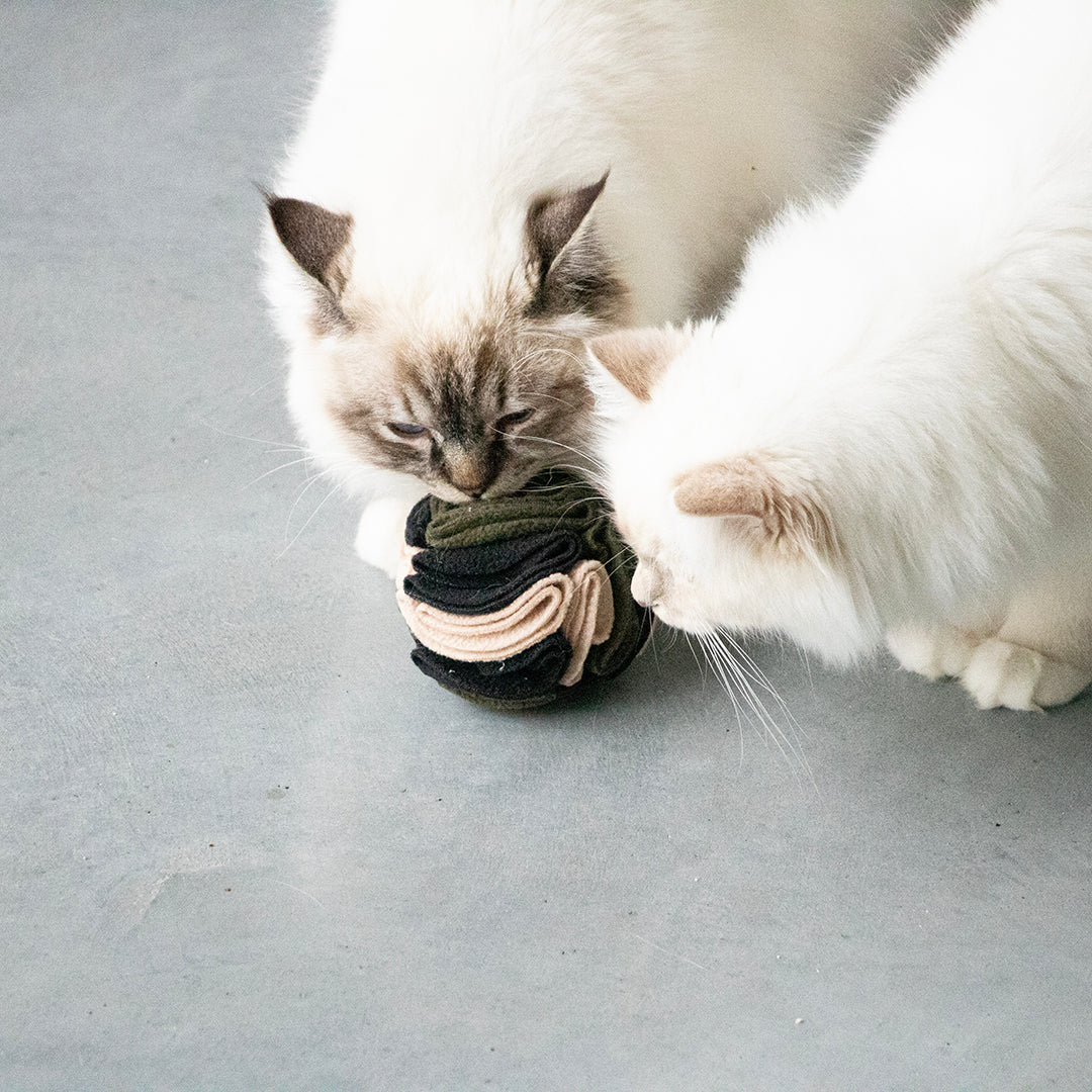 Simon Voerbal