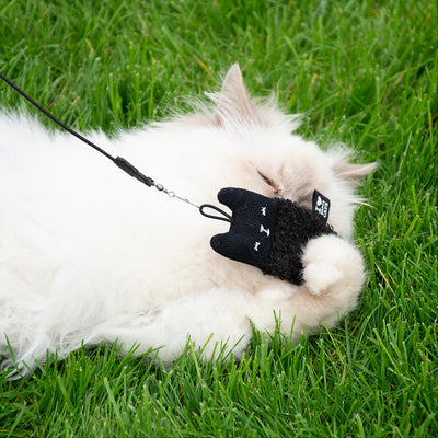 ALFIE Kattenspeeltjes