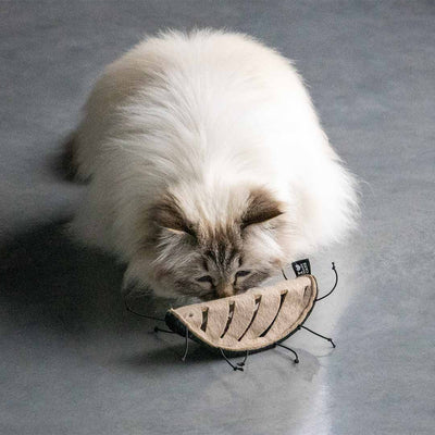 CHUCK - snackspeeltje