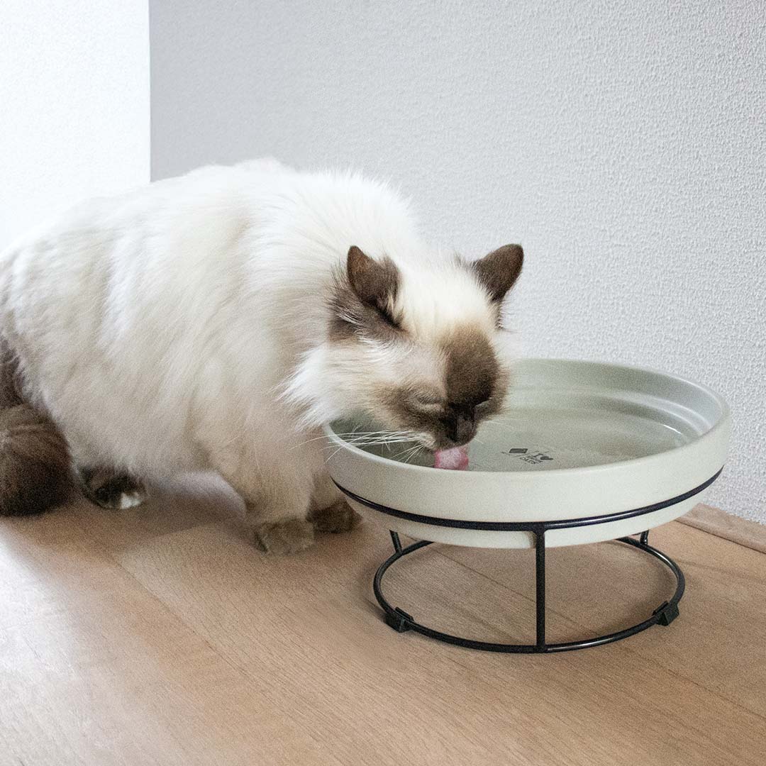 DASH - Schaalverhoger