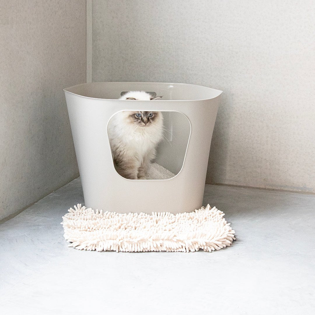 Kattenbakset Dean