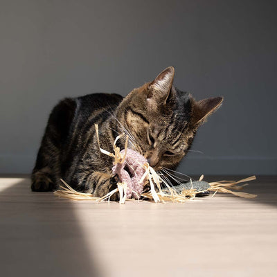 MILLY - Kattenspeeltje