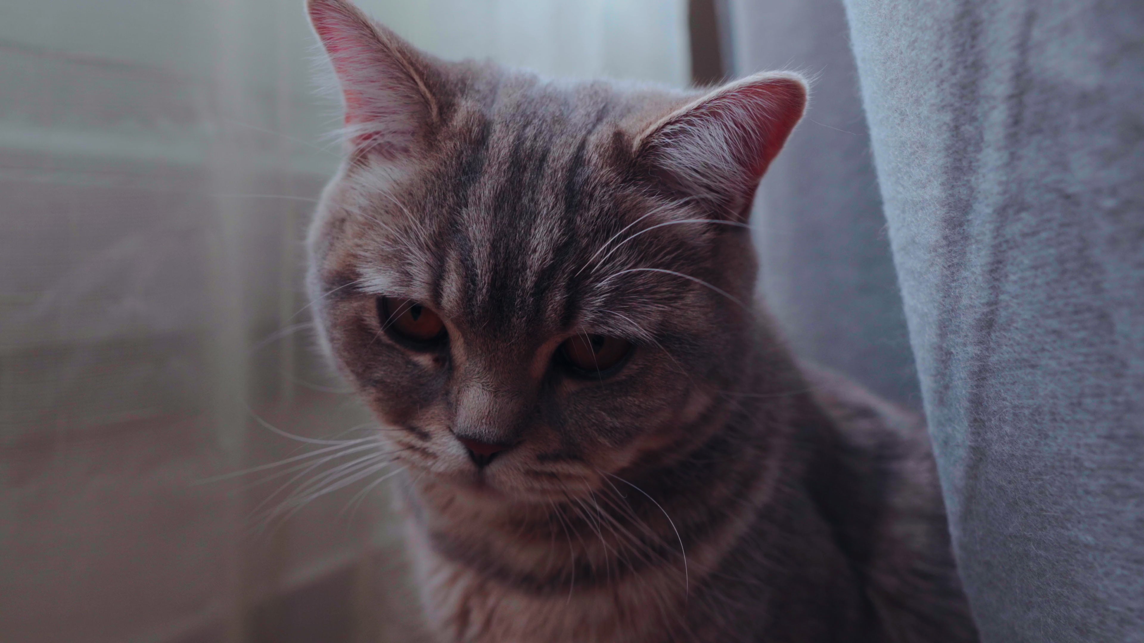 Load video: 